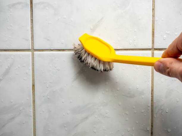 Best Affordable Mold Removal  in Joppatowne, MD