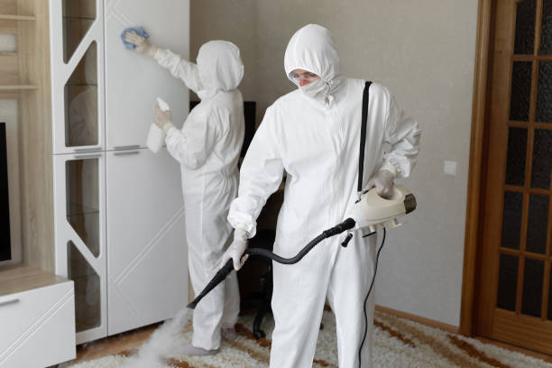 Mold Removal Process in Joppatowne, MD